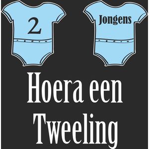 Geboorte raamsticker Hoera een tweeling 2 jongens