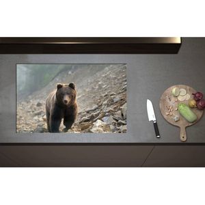 Inductieplaat Beschermer - Bruine Beer tussen de Stenen - 85x51 cm - 2 mm Dik - Inductie Beschermer - Bescherming Inductiekookplaat - Kookplaat Beschermer van Zwart Vinyl