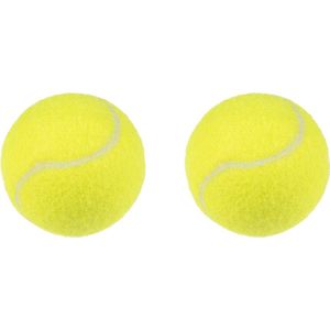 Flamingo Smash - Speelgoed Honden - Hs Tennisbal Smash Geel 8cm 2stuks - 2st
