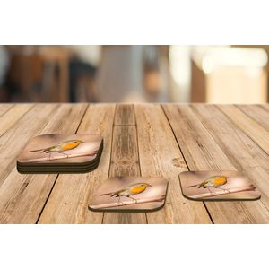 Onderzetters voor glazen - Vogel - Tak - Roodborstje - 10x10 cm - Glasonderzetters - 6 stuks