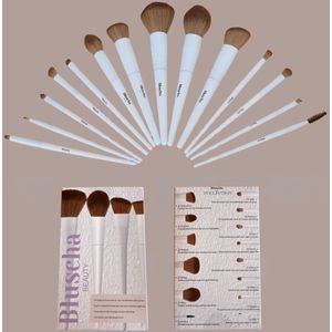 Bluscha - Luxe Make-Up Kwasten Set - 14 Delig - Etui - Makeup - Foundation - Brush - Concealer - Blenders - Kwast - Oogschaduw - Blending - Kwastenset - Blush