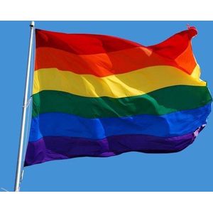 Regenboog Vlag / Gay / LGBTI Vlag / 90cm x 150cm