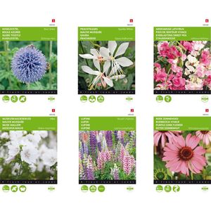 Cactula Meerjarige bloemenzaden 6 soorten | Kogeldistel Blue Globe | Rode Zonnehoed | Prachtkaarts Sparkle White | Lupine Russel's Hybrids gemengd  | Muskuskaasjeskruid Alba |