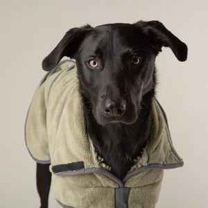 Scruffs - Expedition Deluxe Noodle Dog Drying Coat Kleur: Sage Green Maat: Medium