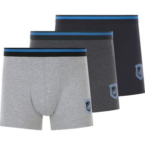 Jan Vanderstorm herren Set Van 3 Retroslips - 07 - grijs