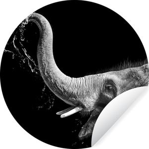 Behangcirkel - Zelfklevend behang - Wilde dieren - Olifant - Zwart - Wit - Behangsticker - 80x80 cm - Behang cirkel - Behangcirkel zelfklevend - Behang rond - Woonkamer