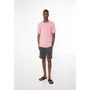 Protest Prtegonia t-shirt heren - maat xl