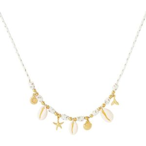 Ketting summer vibes-bedel schelp- zeester- wit- goudkleur