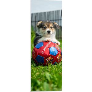 WallClassics - PVC Schuimplaat- Hondje Speelt met een Voetbal - 20x60 cm Foto op PVC Schuimplaat