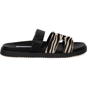 STEVE MADDEN Missile-L Zebra