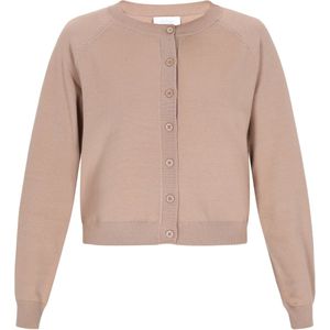 usha BLUE LABEL Gebreid vest  beige