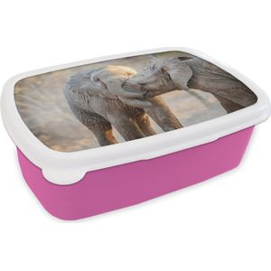 Broodtrommel Roze - Lunchbox - Brooddoos - Olifanten - Knuffel - Afrikaans - 18x12x6 cm - Kinderen - Meisje