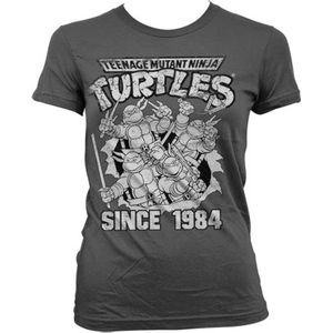 Teenage Mutant Ninja Turtles Dames Tshirt -S- Distressed Since 1984 Grijs