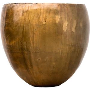 Pot Fabien Old Camel