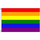 Regenboog LGBT vlag 90 x 150 cm - vlaggen / feestversiering