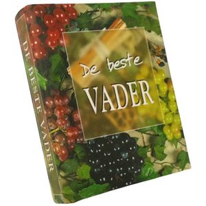 Geschenk Mini Boekje De beste Vader