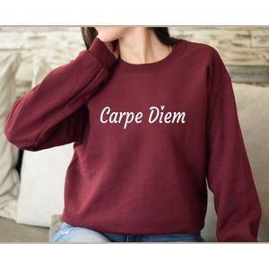 Bordeaux Dames sweater maat S-Carpe Diem- heerlijke dames sweater.