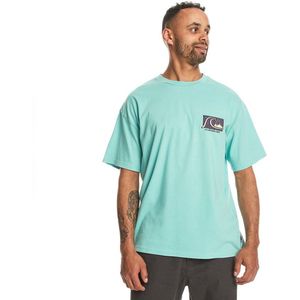 Quiksilver - Take Us Back - T-shirt - Korte Mouwen - Oversized - Organische Katoen