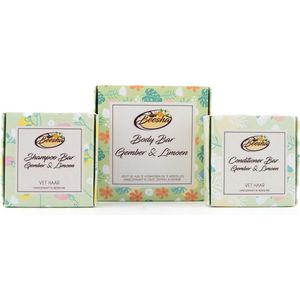 Beesha Bundel Gember & Limoen | Bevat een Shampoo, Conditioner, en Body Bar | 100% Plasticvrije en Natuurlijke Verzorging