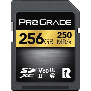 256GB SD UHS-II V60 Geheugenkaart met hoge schrijfsnelheid tot 130MB/s en leessnelheid tot 250MB/s - Voor professionele vloggers, filmmakers, fotografen en contentcuratoren