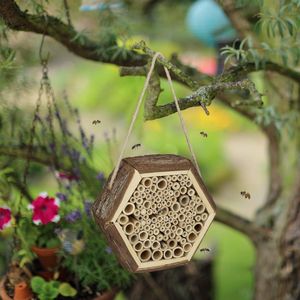 insectenhotel / Design insectenhotel met natuurlijke materiaal - Voor bijen, lieveheersbeestjes en vlinders - Om op te hangen ,18 x 20 x 7 cm,