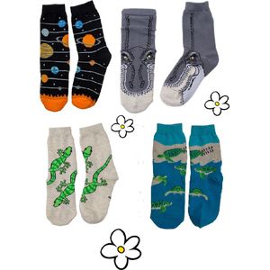 Nature Planet -kindersokken - set van 4 paar sokken - t-rex - heelal - gekko - schildpad (100% Oeko-tex gecertificeerd) maat 29-34