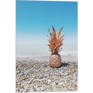 Vlag - Ananas op Kiezelstenen - 40x60 cm Foto op Polyester Vlag