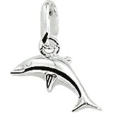 Zilveren Hanger dolfijn