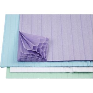 Honingraat papier, 28x17,8 cm, lichtblauw, groen, paars, wit, 4x2 vel/ 1 doos
