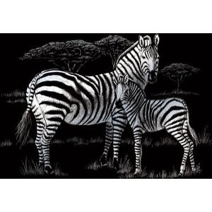 Kraskaart zilver 203mm x 254mm - Zebra
