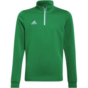 adidas - Entrada Training Top Youth - Groene Longsleeve-140