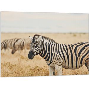 Vlag - Groep zebras in de savanne - 100x75 cm Foto op Polyester Vlag