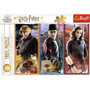 Trefl - Puzzles - ""200"" - In the world of magic and witchcraft / Warner Harry Potter