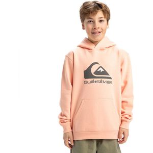 Quiksilver Big Logo Hoodie Oranje 8 Years Jongens