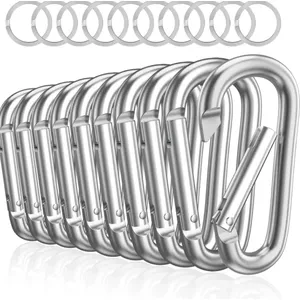 SHENGYIG 40 stuks kleurrijke sleutelringen, sleutelhangers van zinklegering, karabijnhaken voor sleutelbanden, sleutels en doe-het-zelfbenodigdheden, robuust en veelzijdig SHENGYIG 40 stuks kleurrijke sleutelringen, sleutelhangers van zinklegering, karabijnhaken voor sleutelbanden, sleutels en doe-het-zelfbenodigdheden, robuust en veelzijdig