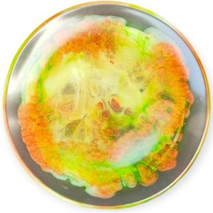 Resin Art JR: Theetip / Amuseschaaltje / Kleine schaaltje / Schaaltje voor een theezakje