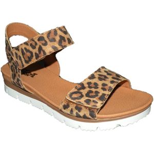 Giga G4420- B85 Maat 38