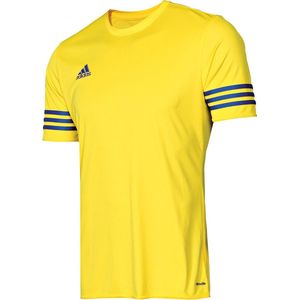 adidas Entrada 14 Sportshirt - Maat S  - Mannen - geel/blauw