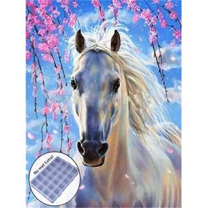 BJoy Diamond Painting 50x40 - Paard Dieren