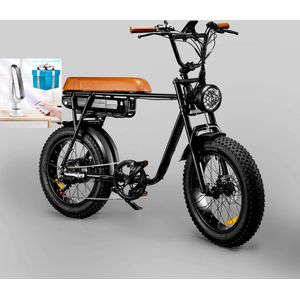 EBIKE, Large capacity battery long range 48v 12.5ah 750w, 25-50 km/u electric bicycle electric bike, Black