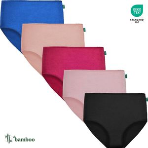 Dames Slip - Hoge Taille Slip - Effen - Mix Kleuren - 5-Pack - Maat S/M - Bamboe Viscose - Dames Ondergoed - Lingerie