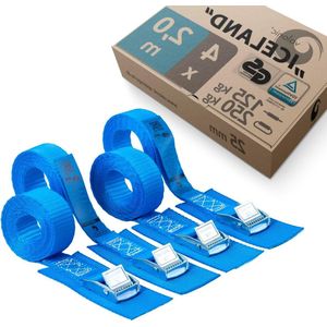 Spanbanden TÜV Rheinl. / GS gecertificeerd met pad 2m 25mm 250kg EN-12195-2 - 4 stuks spanband met klemslot - voor dakkoffer van auto SUP board kajak blauw Spanbanden met ratel