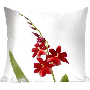 Sierkussens - Kussentjes Woonkamer - 40x40 cm - Rode orchidee met bladeren voor een witte achtergrond