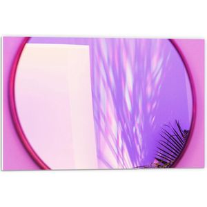 Forex - Roze Spiegel met Grassen - 60x40cm Foto op Forex