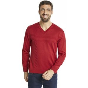 Katoenen trui met lange mouwen en V-hals