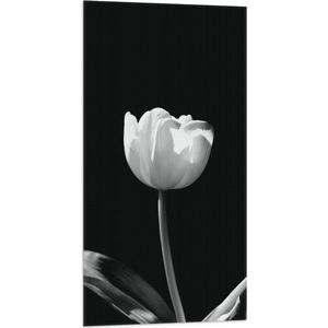 WallClassics - Vlag - Witte Tulp - Zwart Wit - 50x100 cm Foto op Polyester Vlag