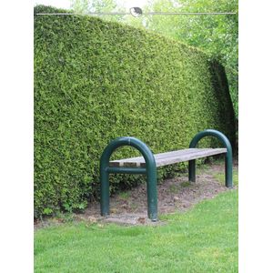Westerse Levensboom Thuja Brabant 100-120 cm in Pot, 10x Haagplant