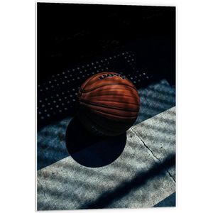 Forex - Basketbal met Schaduwen  - 60x90cm Foto op Forex