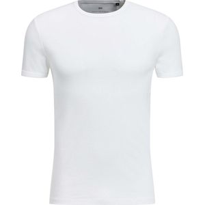 WE Fashion Heren T-shirt van biologisch katoen - Maat S