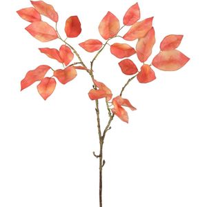 Viv! Home Luxuries Schefflera decoratietak - kunstbloem - perzik - 84cm